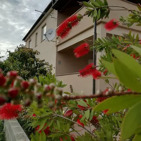 Apartment Zoya Privlaka (Zadar)