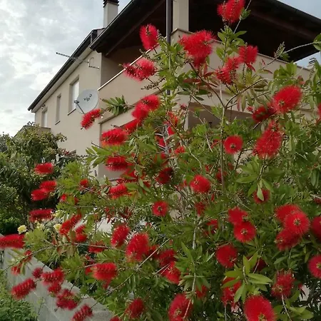 Zoya Apartment Privlaka (Zadar)