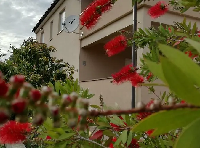 Appartement Zoya Privlaka (Zadar)